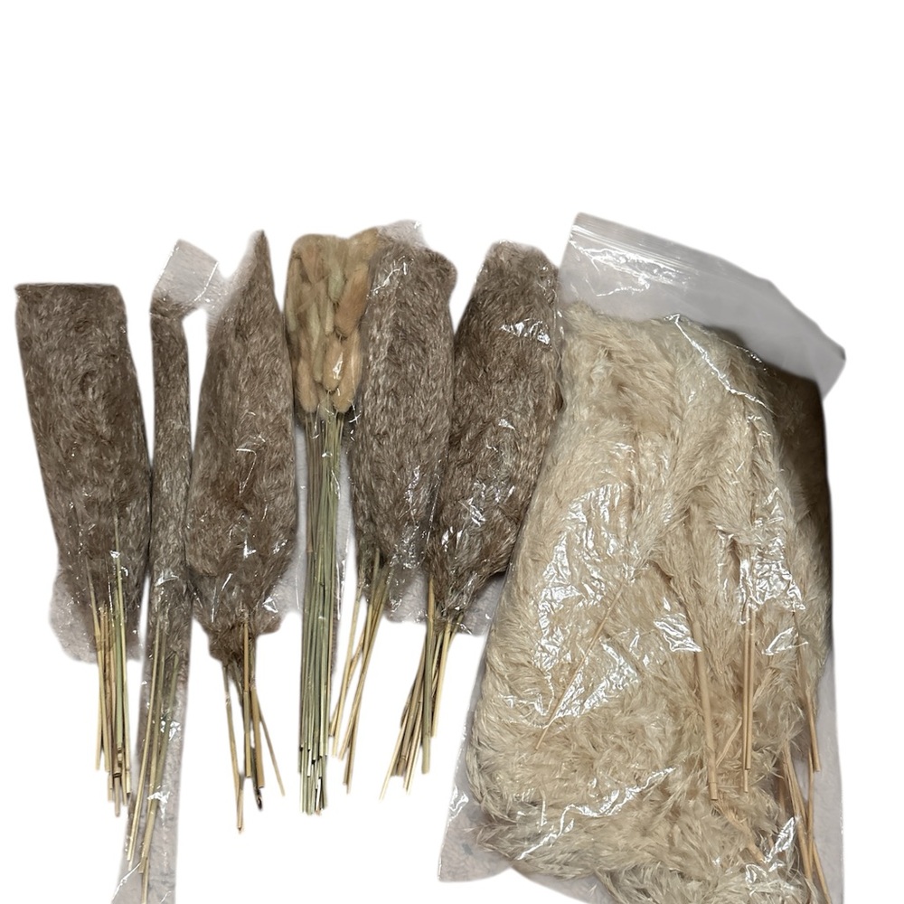 Decorative Natural Dried Pampas Grass Set
